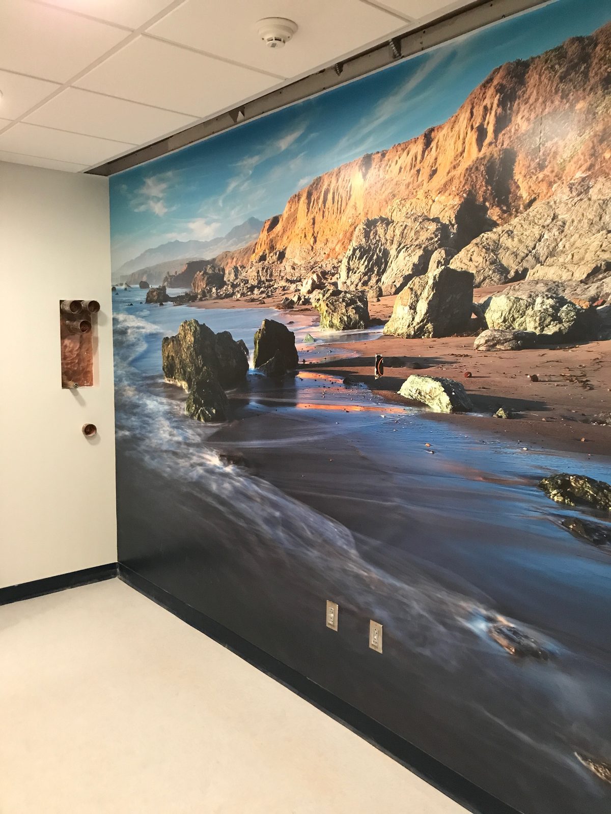 California coastal cliffs wall mural in a hallway
