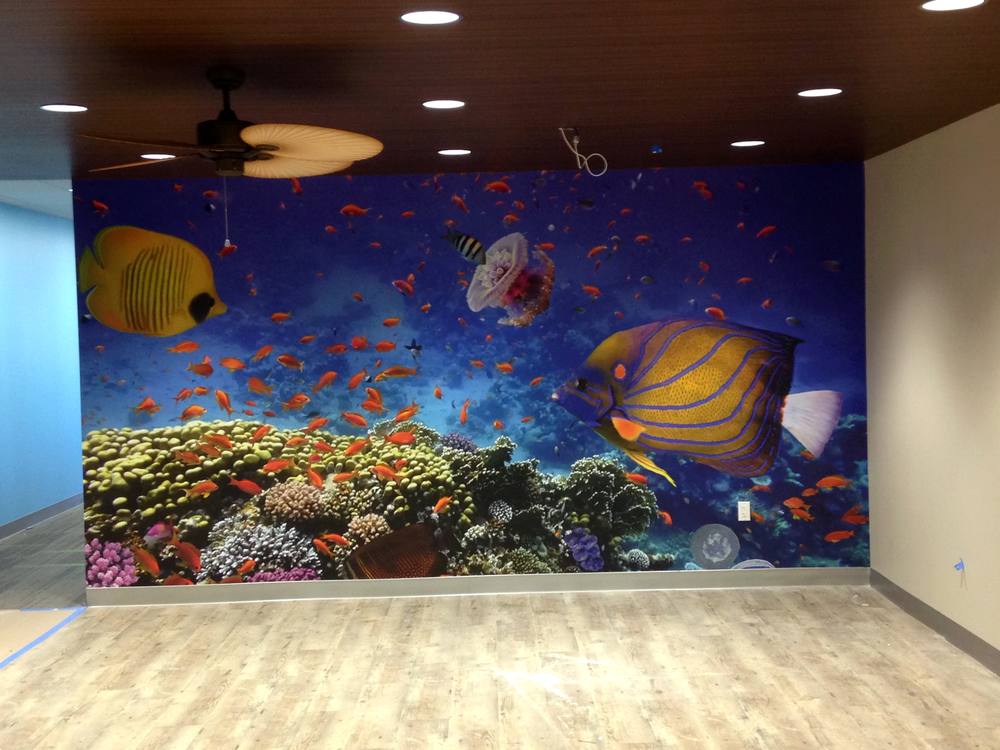 Underwater reef office wall mural installed by Molina